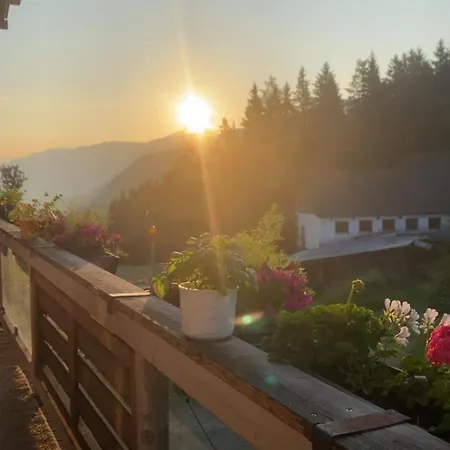 Salzleckerhof Апартаменты